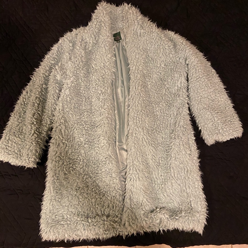 Wild & Fable Faux Fur Coat